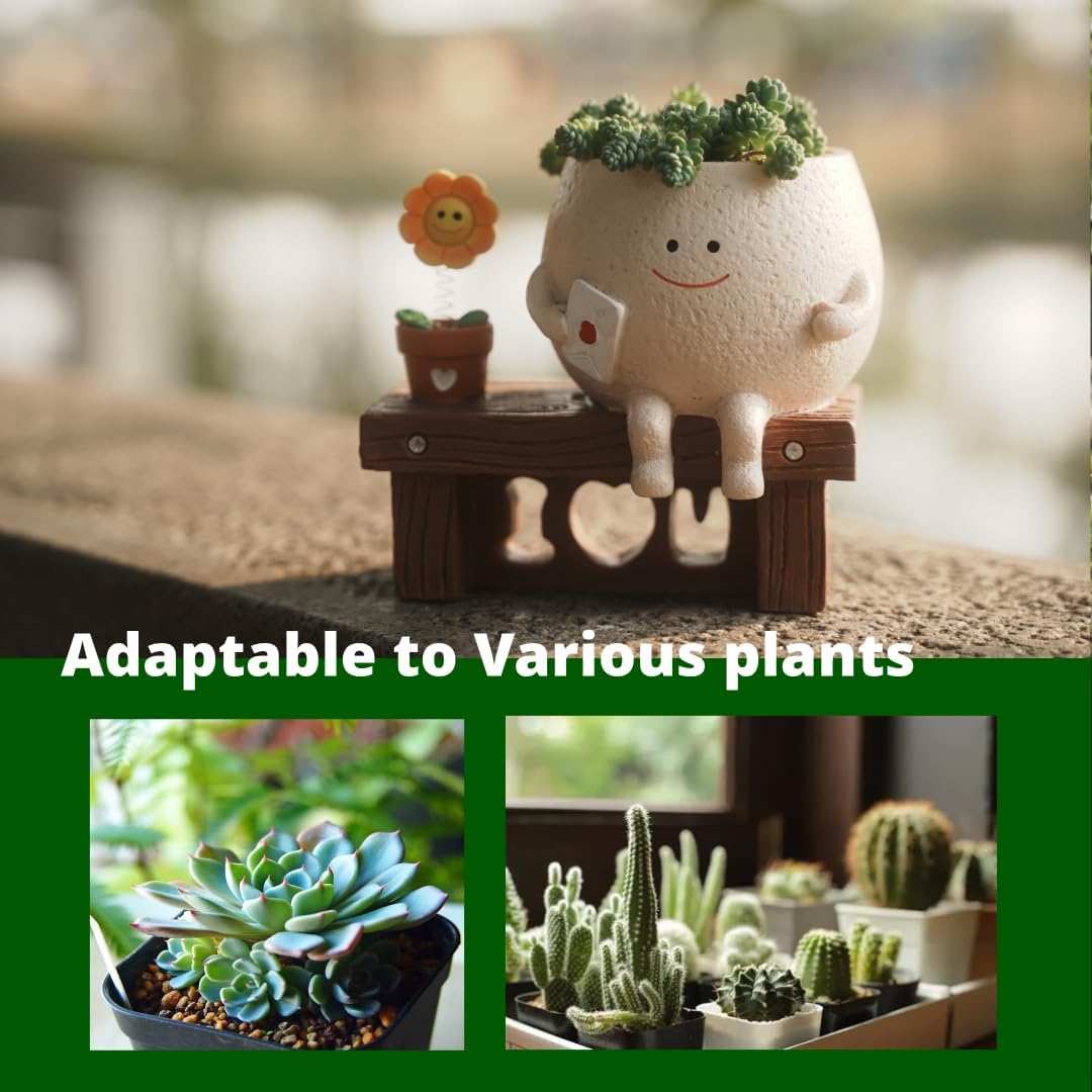 Macetas con cara sonriente para suculentas y plantas