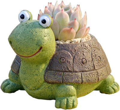 Maceta suculenta tortuga verde decoración hogar oficina