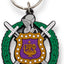 Llavero Omega Psi Phi Crest PVC multicolor