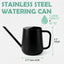 Regadera acero inox 35oz mango metal plantas