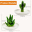 2 Pzas Soporte Cerámica Anillos Cactus Decoración