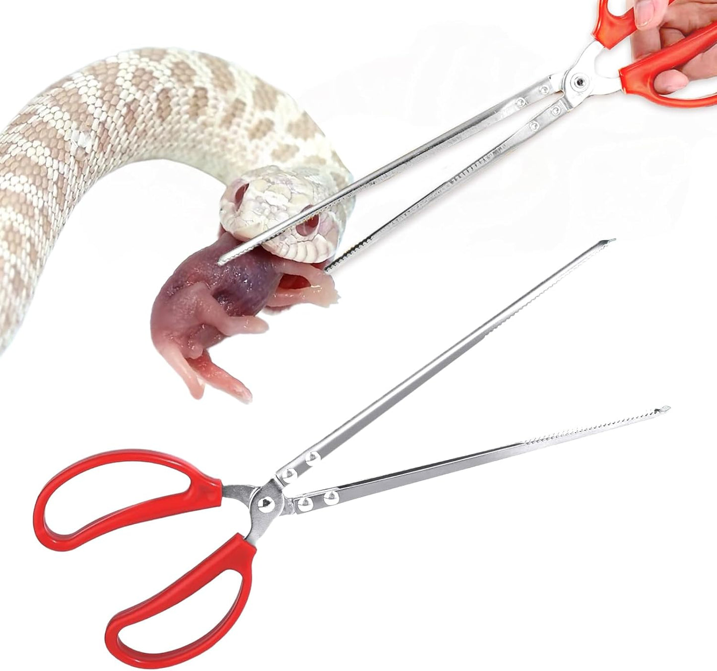 Pinzas alimentación reptiles 15pulg para serpientes lagartos