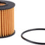 Filtro aceite motor giratorio 10K millas proteccion motor