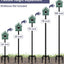 Poste alimentador pájaros 105pulg 5 puntas soporte