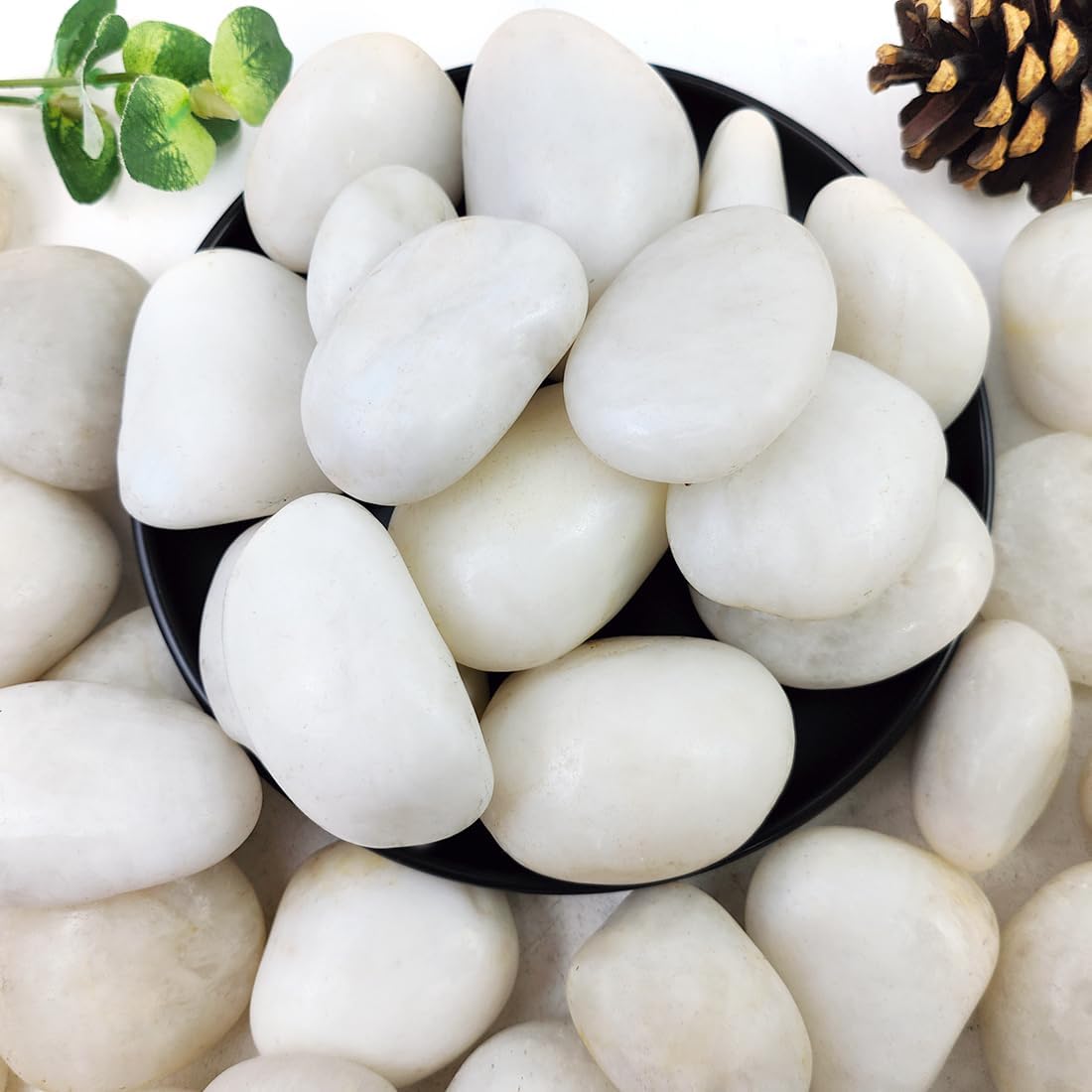 Rocas blancas de río 5lb para plantas, jarrón, acuario