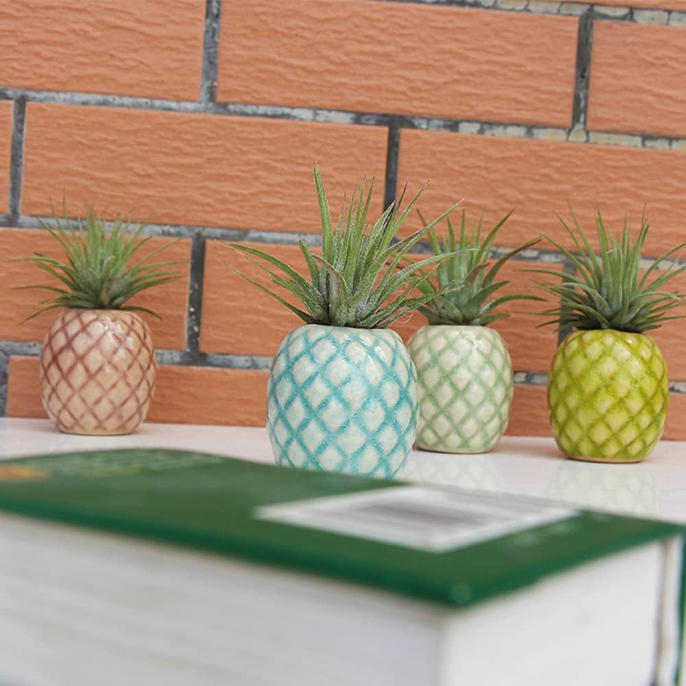 4 Soportes Cerámica para Plantas de Aire Colgantes