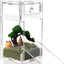 Recinto acrílico terrario 3.3x3.7x7pulg para tarántula