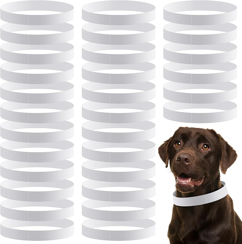 500 Collares Papel Ajustables 20pulg Perros