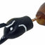 Entrenador perros caza codornices