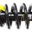 Conjunto amortiguador muelle helicoidal Honda Element