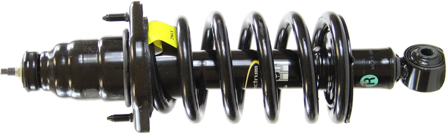 Conjunto amortiguador muelle helicoidal Honda Element