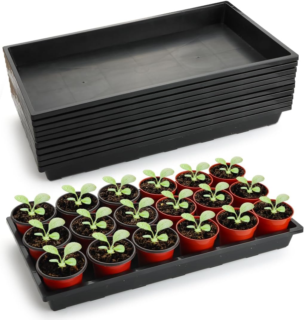 Bandejas planas para inicio de semillas pack 10 plástico duradero