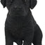 Estatua cachorro Labrador color negro