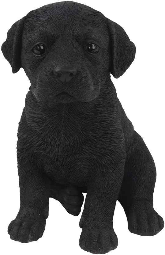 Estatua cachorro Labrador color negro