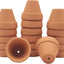 Macetas terracota 1.2pulg con drenaje para cactus interiores