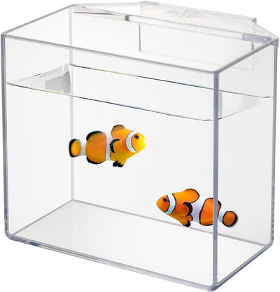 Contenedor aclimatación por goteo para peces y corales colgante