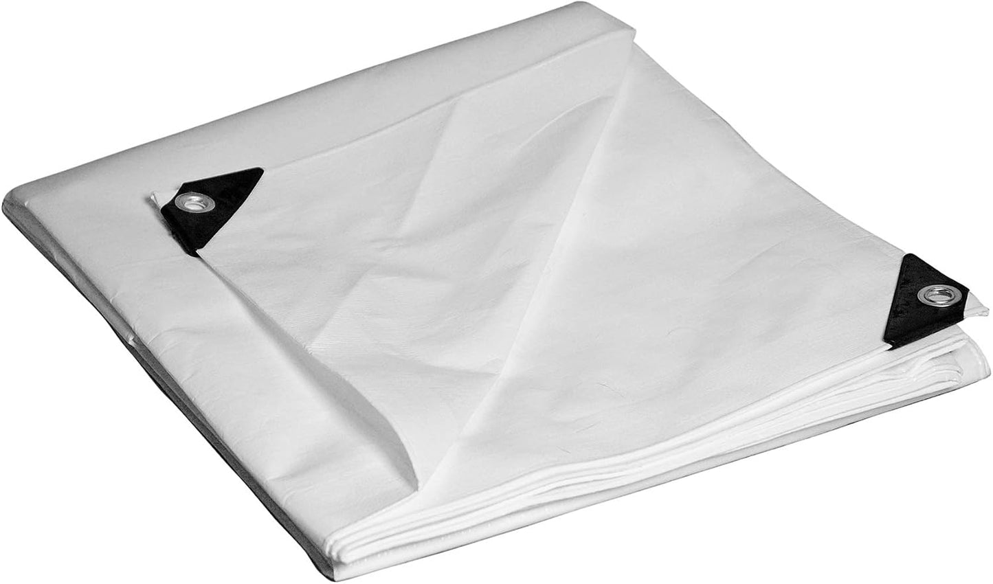 Toldo poliéster 8x10ft resistente blanco