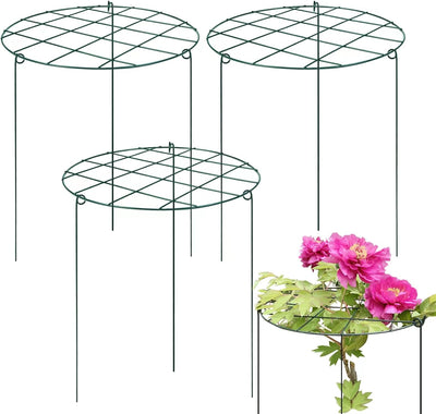 12 Pzas Jaulas Soporte Peonía 16x24pulg para Plantas