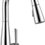 Grifo cocina cromado rociador extraíble 9113-DST