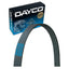 Correa serpentina Dayco para Toyota Sequoia 01-04