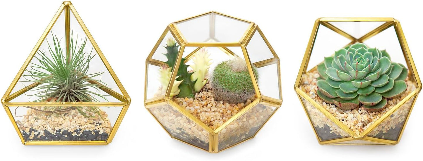 3 Pzas Terrario Cristal Geométrico 4pulg Decorativo Jardín Hadas