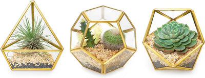 3 Pzas Terrario Cristal Geométrico 4pulg Decorativo Jardín Hadas
