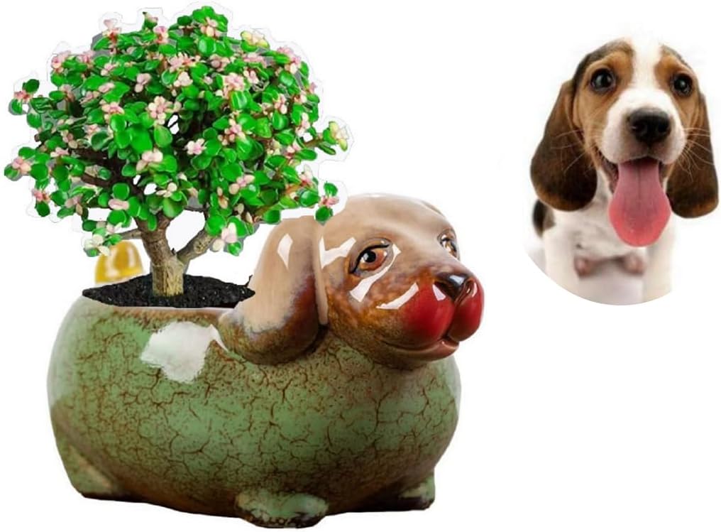 Maceta cerámica forma perro con drenaje para suculentas