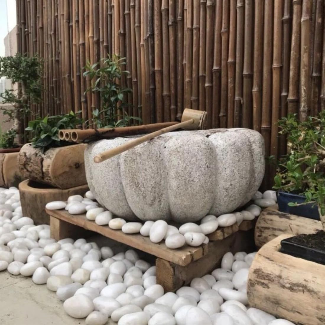 Rocas blancas de río 5lb para plantas, jarrón, acuario