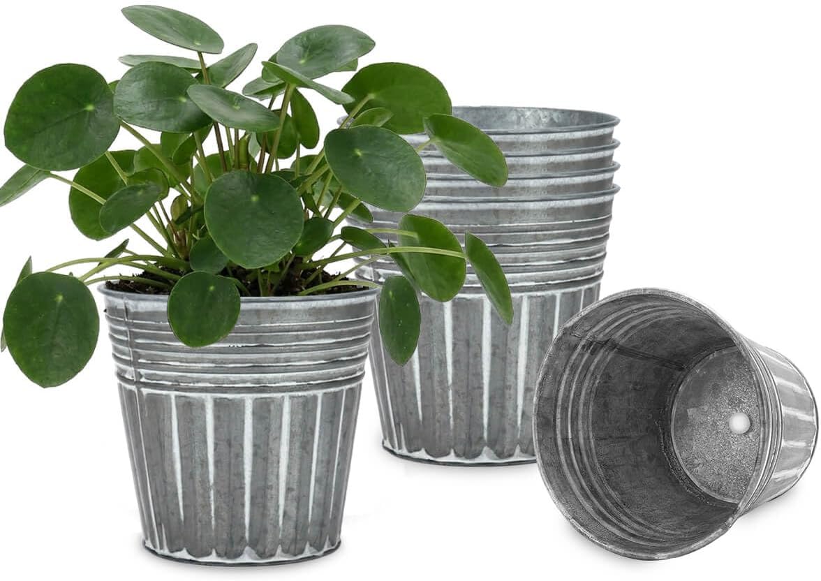 6 Pzas Macetas Metal Plateado 5pulg Galvanizado Drenaje