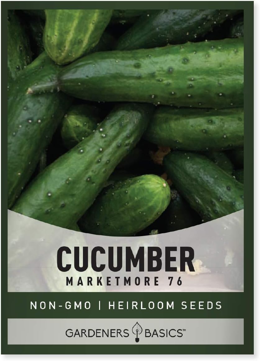 Semillas pepino Cucumis sativus Heirloom para jardinería