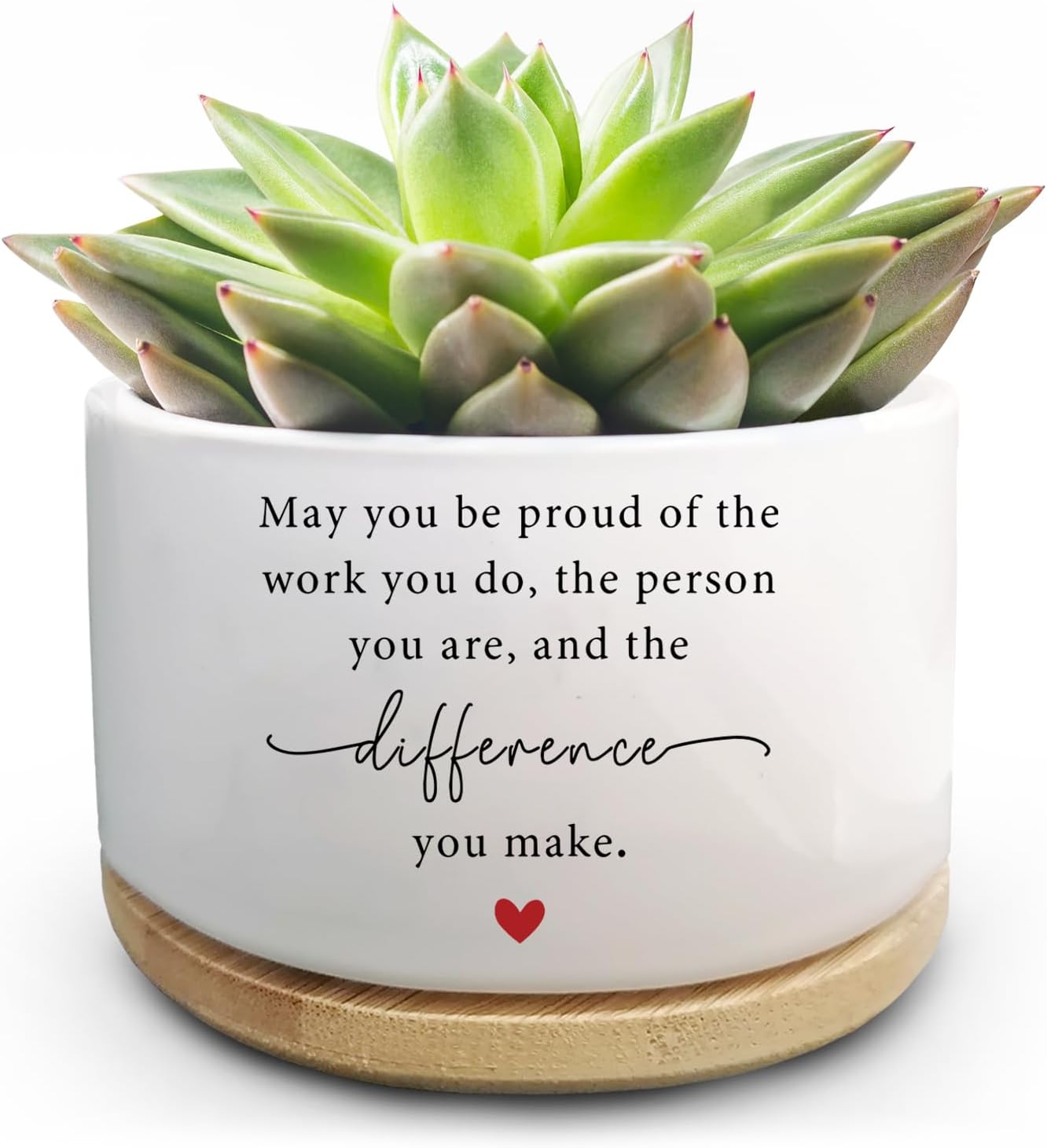 Maceta Graciosa para Cactus y Suculenta Regalo