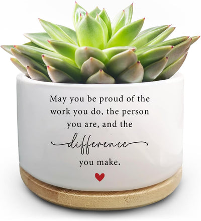 Maceta Graciosa para Cactus y Suculenta Regalo