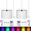 Luz colgante enchufable 15ft con interruptor y control