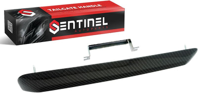 Manija puerta trasera Scion xB 04-06 placa metal fibra