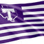 Bandera Tarleton State University 3x5ft 100% poliéster