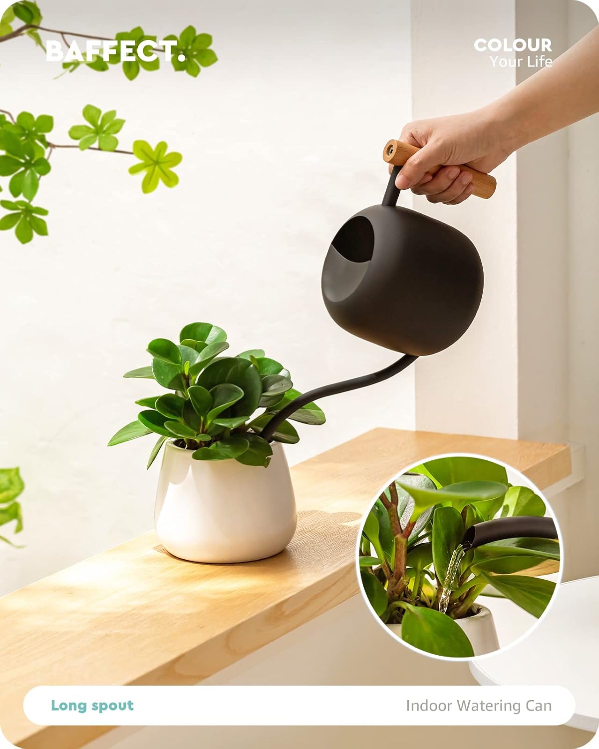 Regadera acero inox 1.2L boquilla larga para plantas