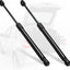 Puntal compuerta trasera resorte gas comp Scion tC 05-10