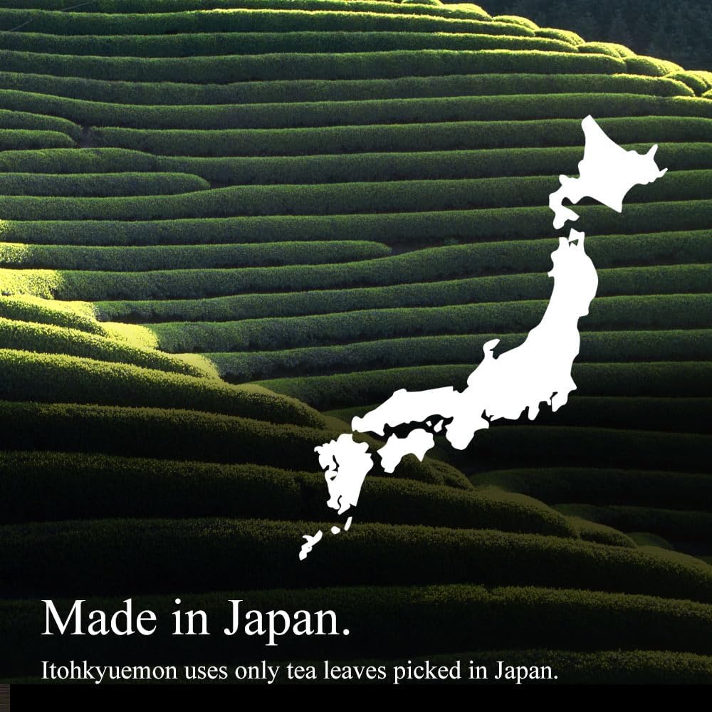 Té verde en polvo Uji sencha 0.08lbs bolsa Japón