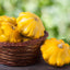 Semillas calabacín Patty Pan Amarillo No GMO