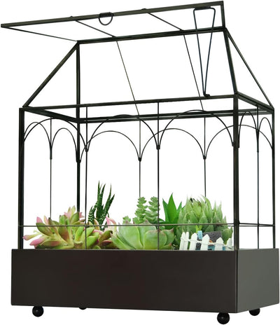 Terrario cristal alto 9.5x5.7x11.4pulg con bandeja
