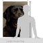 Bandera decorativa vertical 28x40pulg impresa EE.UU.