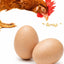 Huevos madera falsos para entrenar pájaros color marrón pack 2