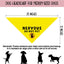 Bandana para perro nervioso sin olfatear regalo mascotas