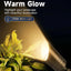 Luces acento paisaje 12V LED impermeable pack 4