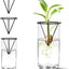 4 Soportes Jarrones Propagación Plantas