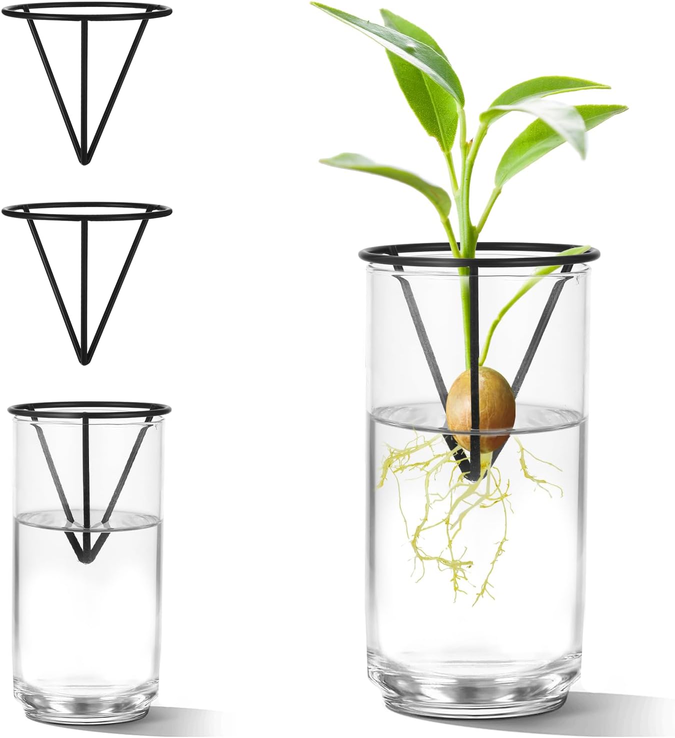 4 Soportes Jarrones Propagación Plantas