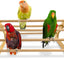 Percha pollitos dormidero madera hecho EE.UU gallinero