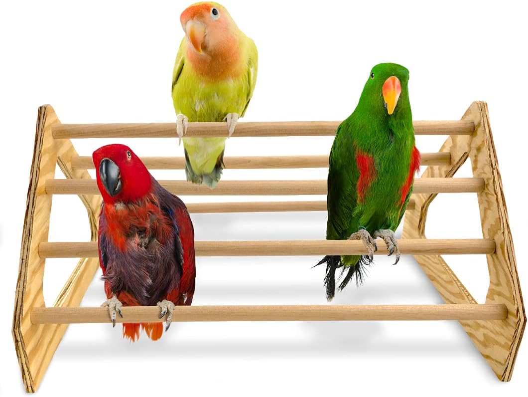 Percha pollitos dormidero madera hecho EE.UU gallinero