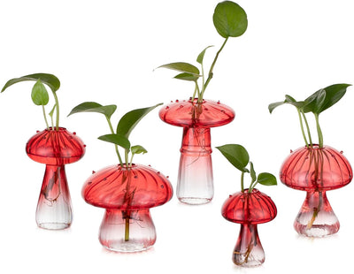 Estación propagación plantas 5 frascos vidrio rojo decorativo