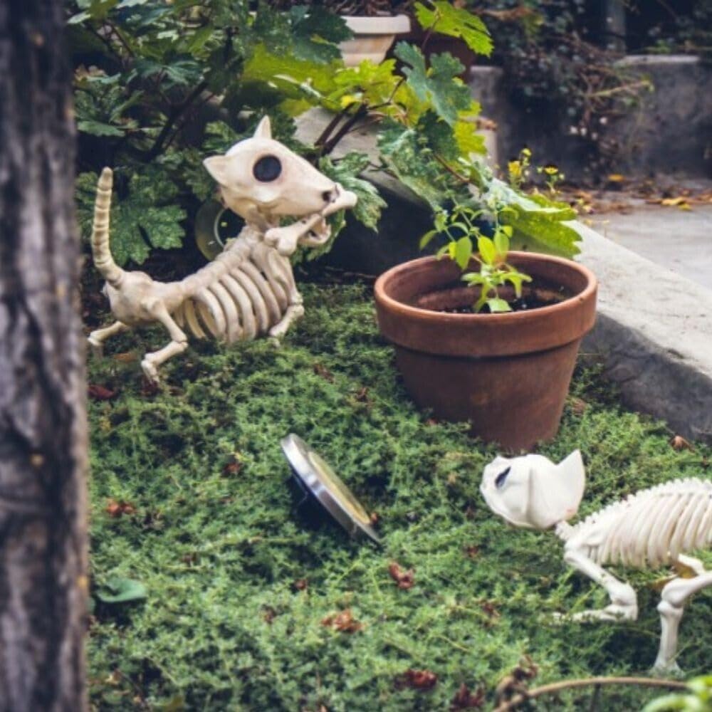 Figura de Perro Esqueleto Digger para Decoración de Hogar